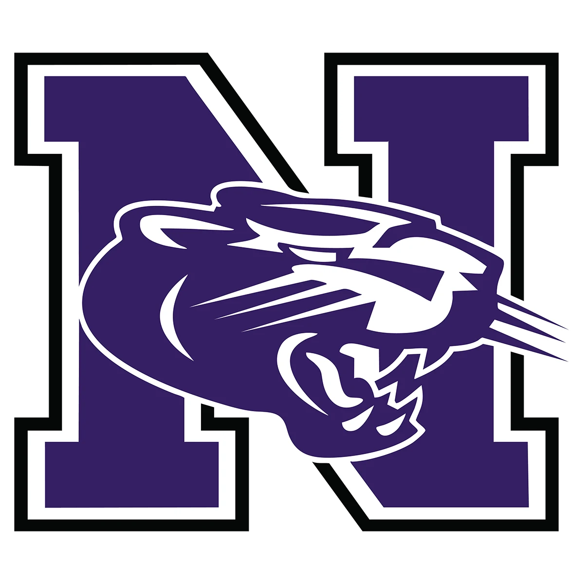 Nashua High School Panthers